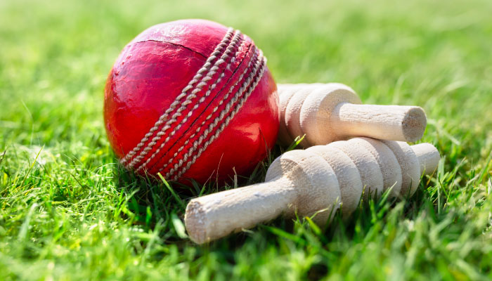 Cricket