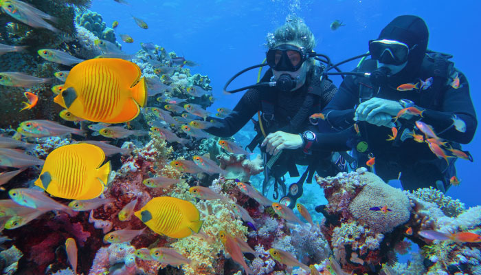 Diving